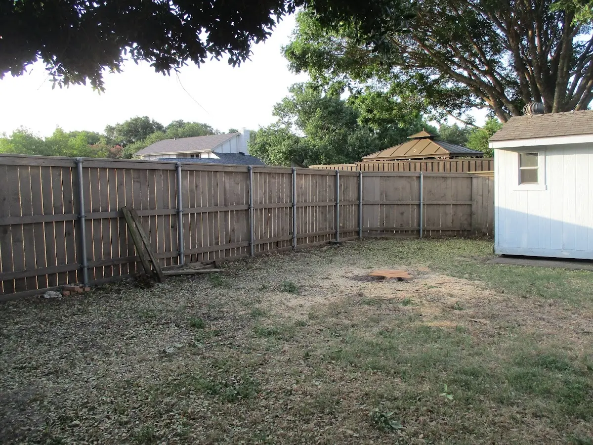 Cleared yard after professional tree removal in New Laguna